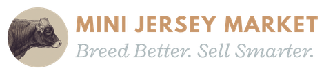 Mini Jersey Market